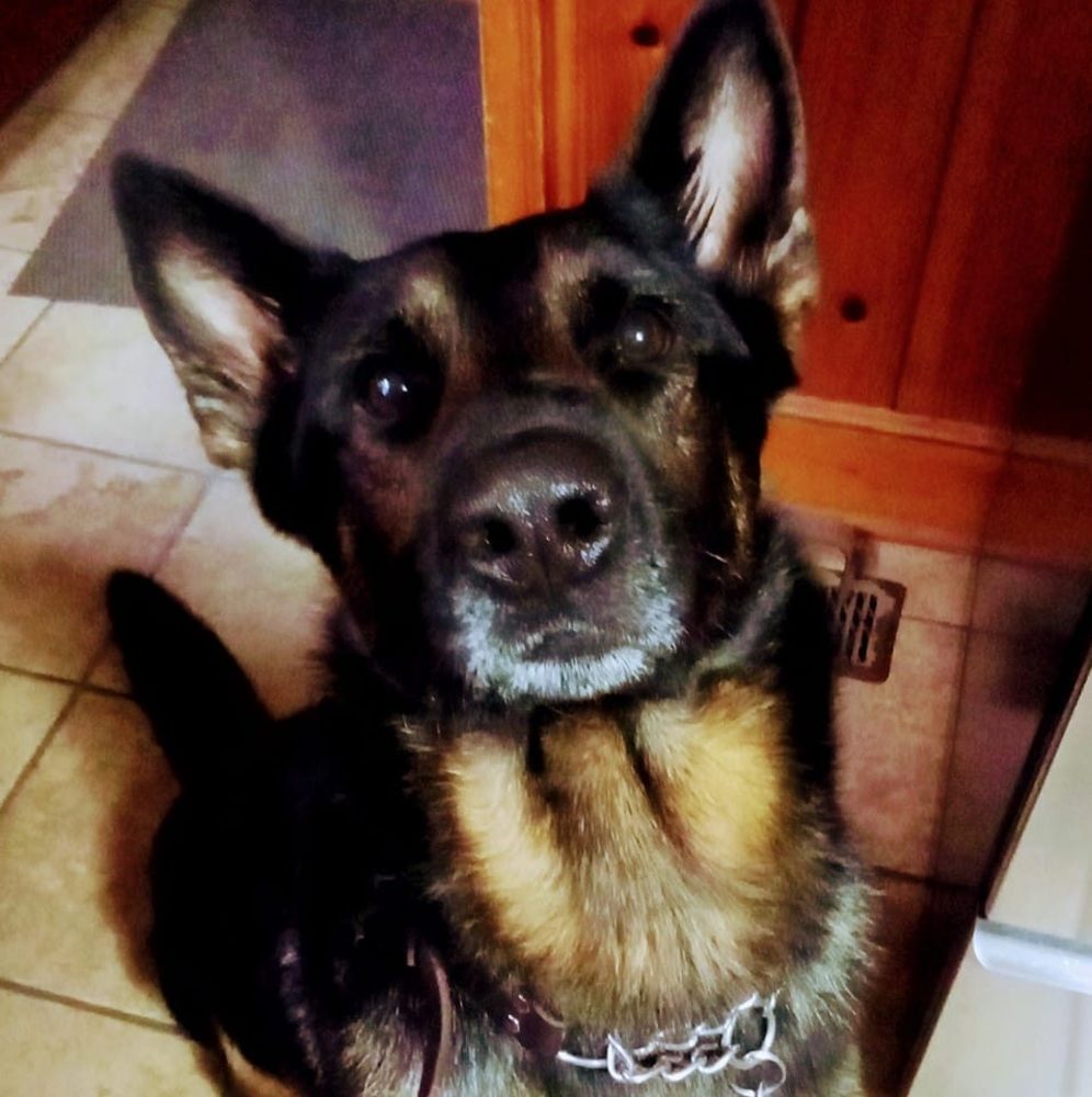 Meet your Posher, Lilli